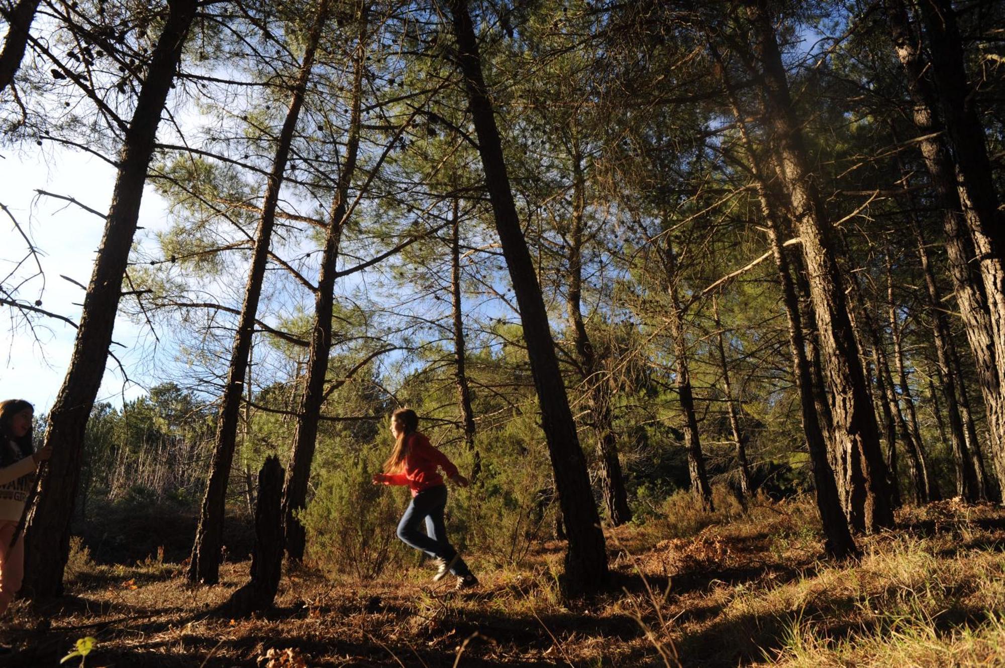 Foresta In Medias Mores Tripoli Exterior foto