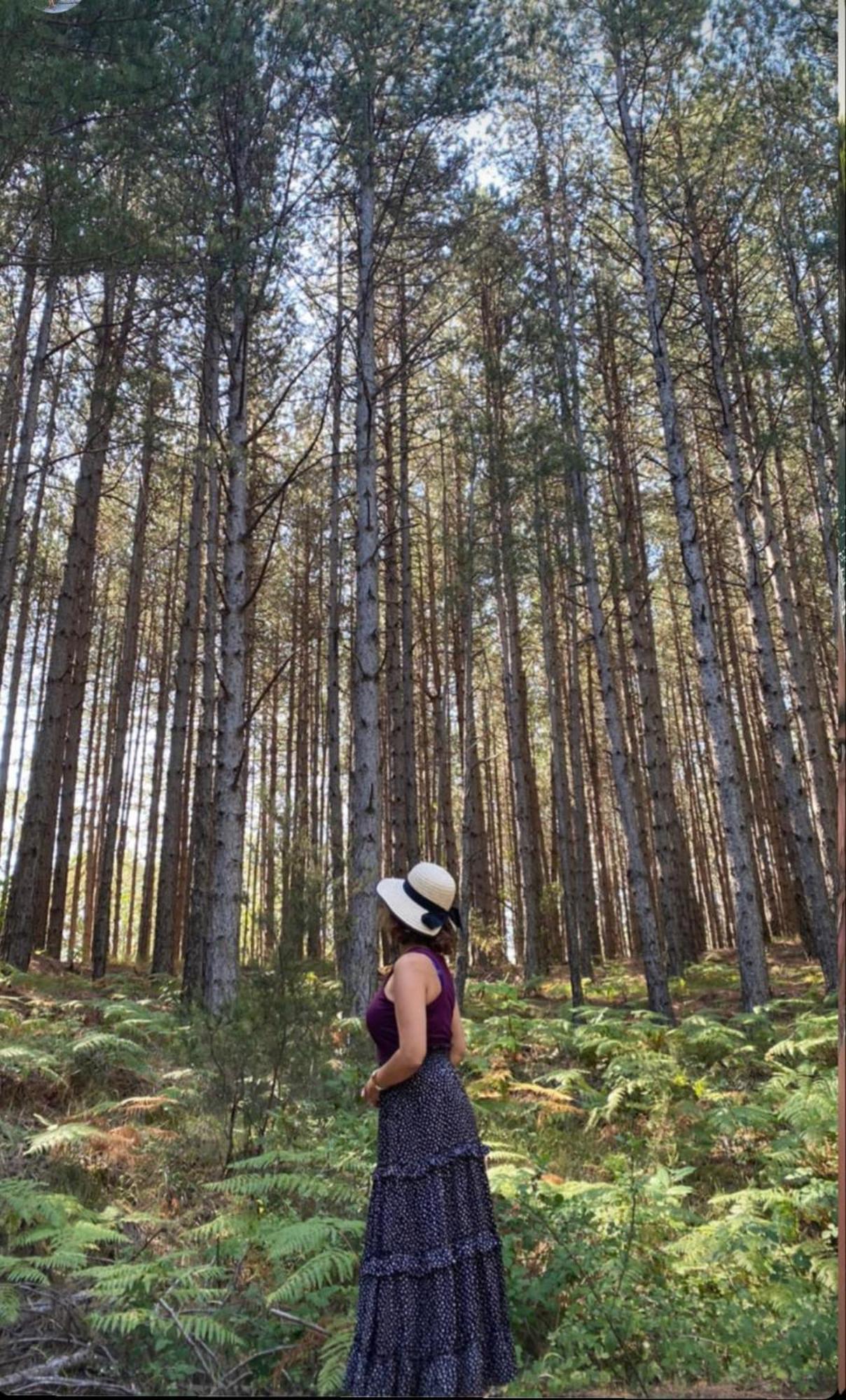 Foresta In Medias Mores Tripoli Exterior foto