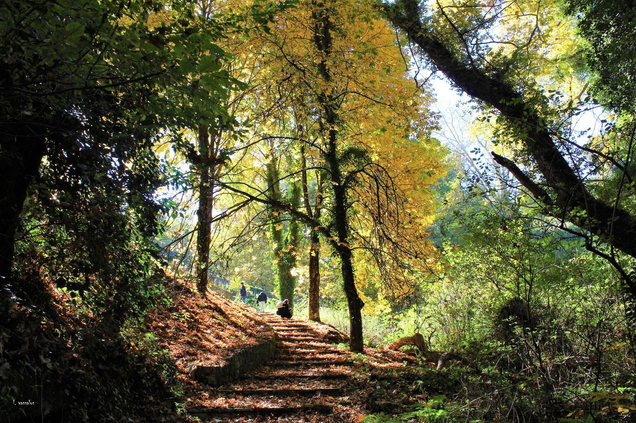 Foresta In Medias Mores Tripoli Exterior foto